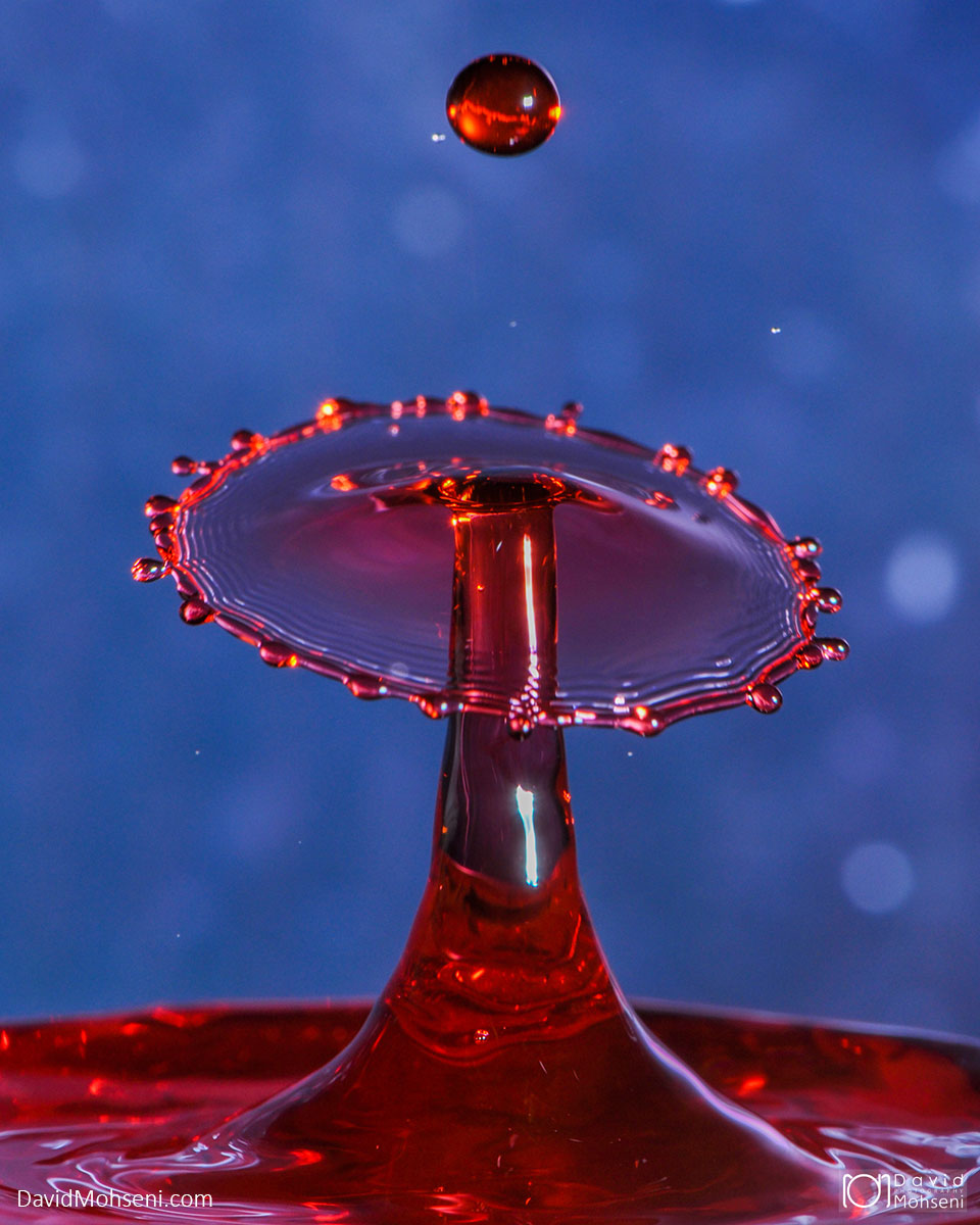 0251_900_1471 | Splash Water Drop Graphy | David Mohseni